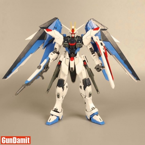 Daban 6650 1/100 ZGMF-X10A Freedom Gundam 2.0 Model Kit